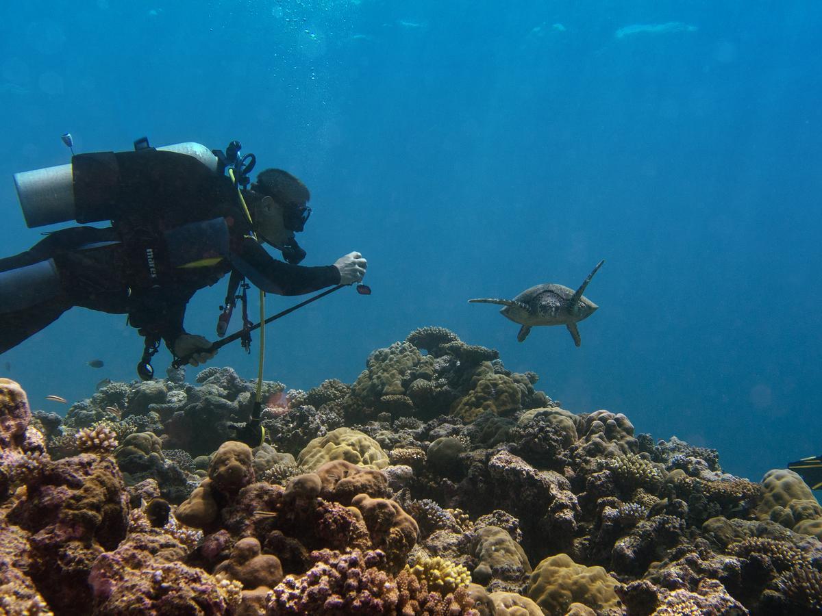 Oneta Resort Naqarawalu エクステリア 写真