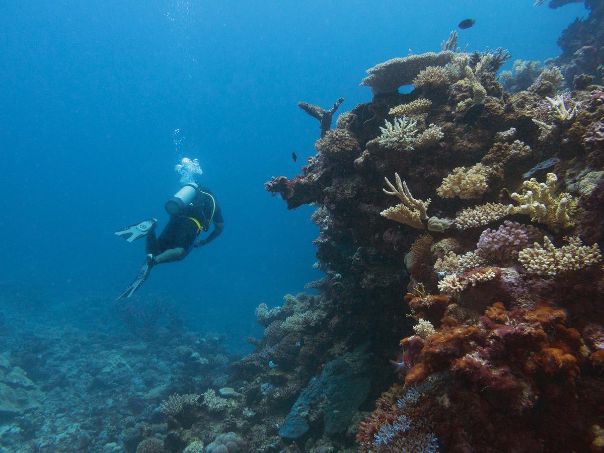 Oneta Resort Naqarawalu エクステリア 写真