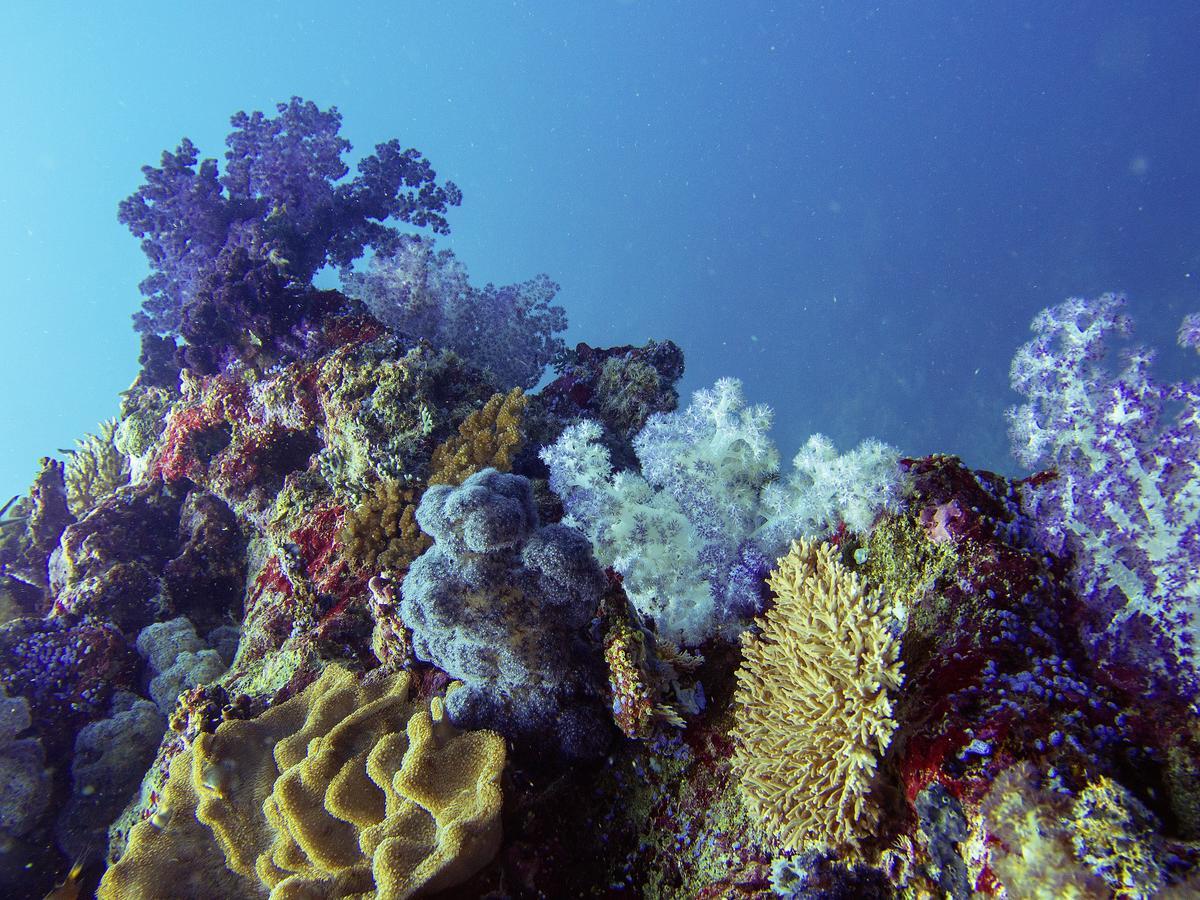 Oneta Resort Naqarawalu エクステリア 写真